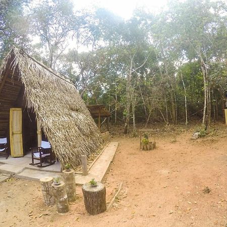 Hospedagem Aldeia Do Leao Hotell Carolina  Eksteriør bilde