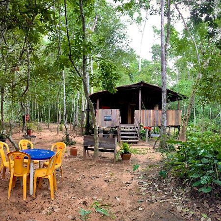 Hospedagem Aldeia Do Leao Hotell Carolina  Eksteriør bilde