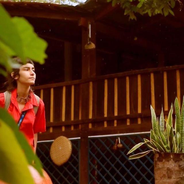 Hospedagem Aldeia Do Leao Hotell Carolina  Eksteriør bilde