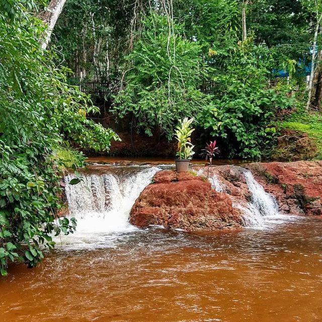 Hospedagem Aldeia Do Leao Hotell Carolina  Eksteriør bilde